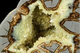 Crystal Filled Septarian Geode Bookends - Utah #184587-2